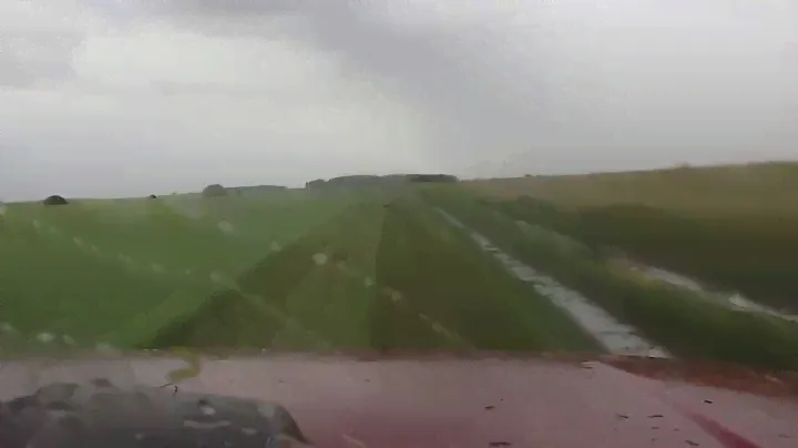 Чаны 28.07.13. Возвращение воды.(ВАЗ 2121) .птица